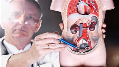 قبل ظهوره بـ10 سنوات.. خطوات بسيطة للكشف عن سرطان المثانة