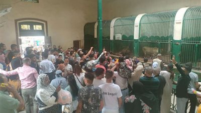 أكثر من 40 ألف زائر لـ حديقة الحيوان بالجيزة في أول أيام عيد الفطر.. صور