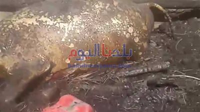 دون إصابات.. الحماية المدنية تسيطرعلى حريق حظيرة مواشي بكرداسة