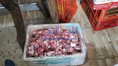 ضبط 6 أطنان من اللحوم المجمدة مجهولة الهوية بالقليوبية