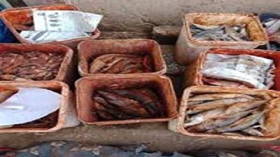 ضبط 3 طن أسماك غير صالحة للاستهلاك الآدمي بالعبور