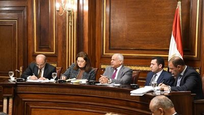 وزيرة التخطيط: 99.5 مليار جنيه استثمارات الصناعة بمصر خلال 2019