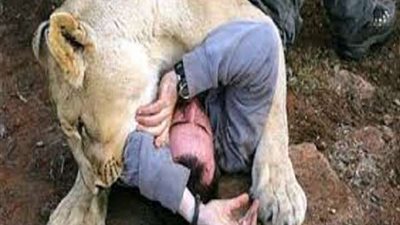 الأجهزة الأمنية تكشف العثور على جثة طفل مقطوع الرأس بعد أيام من اختفائه