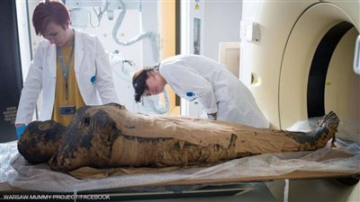 علماء آثار يكتشفون طائر أبو منجل المقدس داخل مومياء مصرية.. تفاصيل