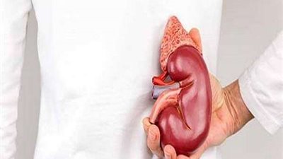 متكتروش منه على الطعام.. تعرف على عدو الكلى