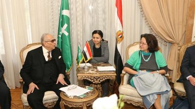 رئيس حزب الوفد يلتقي مندوبة الاتحاد الأوروبي