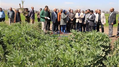 تضم 7 معاهد بحثية.. محطة بحوث 