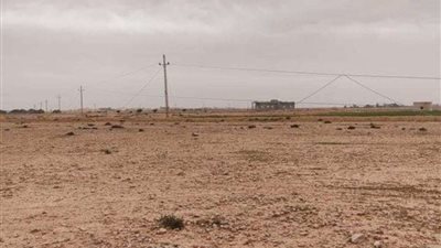 انهيار منزل على ساحل كارولينا الشمالية بسبب ارتفاع المد والرياح العاتية.. فيديو