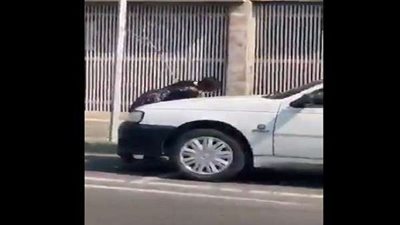 مشهد مرعب.. طفل يتضرع ألما بسبب 