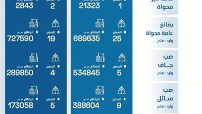 خاص.. مدير مركز الدراسات الاقتصادية بالقاهرة: المنطقة الإقتصادية بقناة السويس حققت  إيرادات بنسبة 2'3 مليار جنيه فى عام 2021