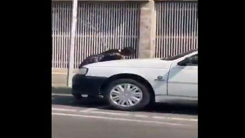 بلدنا اليوم