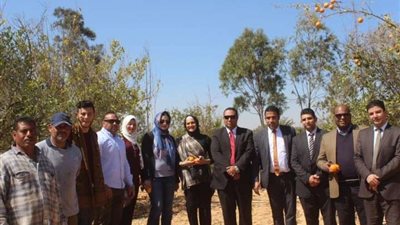 الحرية المصري يشارك في المبادرة الرئاسية 