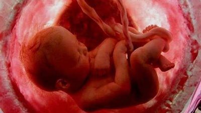 هل يجوز استخدام الحيوان المنوى من الزوج المتوفى؟ الإفتاء ترد