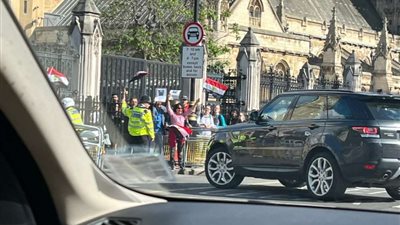 المصريين في بريطانيا يحتفلون بوصول مفتي الجمهورية المصري لمبنى البرلمان الأن (صور)