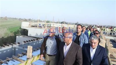 كامل الوزير: 