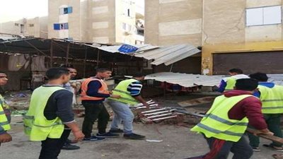 حملات لإزالة مكامير الفحم المخالفة للاشتراطات البيئية والصحية بالحسينية