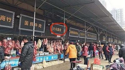 بالصور.. مشاهد سرية من سوق الحيوانات تثير الفزع بسبب كورونا