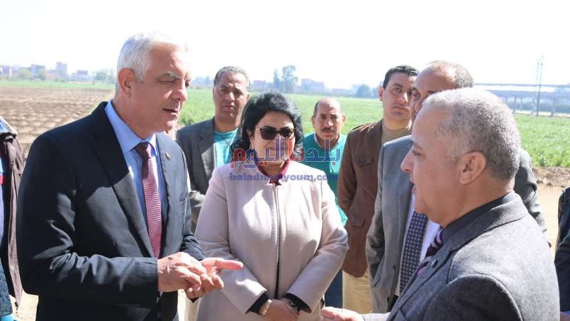 بلدنا اليوم