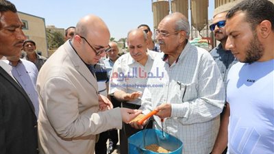 محافظ بني سويف يتفقد مجمع مطاحن مصر الوسطي لمتابعة توريد واستلام القمح