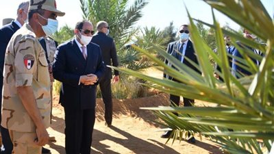 الرئيس السيسي:  كل مشروع الدولة تأخرت فيه بندفع ثمنه حاليا..فيديو