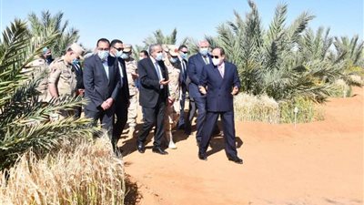 مدير مشروع مستقبل: مصر تستورد 2.5 مليار دولار سنويا وتستهلك 3 ملايين طن سكر..فيديو