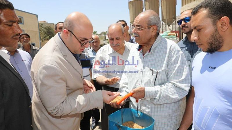 بلدنا اليوم