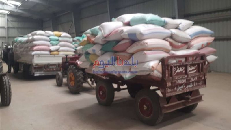 بلدنا اليوم