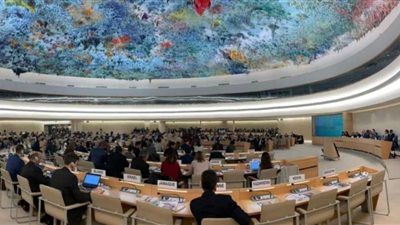 الوفد الحقوقي المصري بجينيف يشجع الحكومة على ‏تحركها الإيجابي ‏