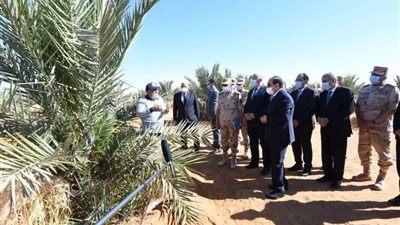 الرئيس السيسي: 