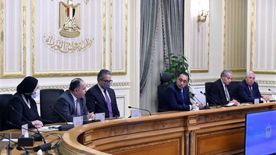 الجمهورية الجديدة: دعم نظم الحماية الاجتماعية والالتزام بالاستحقاقات الدستورية