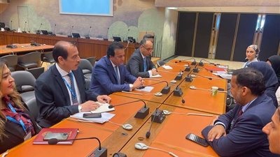 وزيرة الصحة القطرية تشيد بنجاح المنظومة المصرية