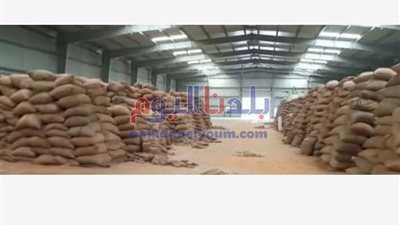 ارتفاع معدلات توريد القمح في شون وصوامع كفر الشيخ لـ193 ألف طن