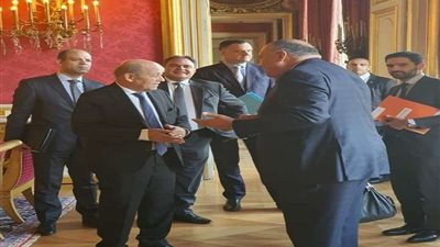 السيسي يبعث برسالة للرئيس الفرنسي بشأن قضية سد النهضة