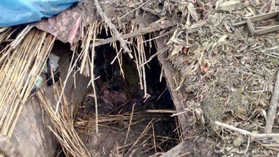 مصرع اثنين في المنوفية بسبب سوء الأحوال الجوية