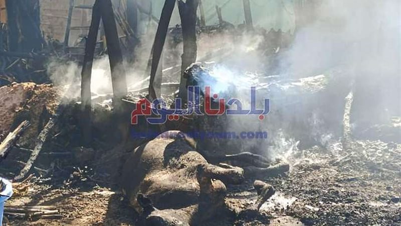 بلدنا اليوم