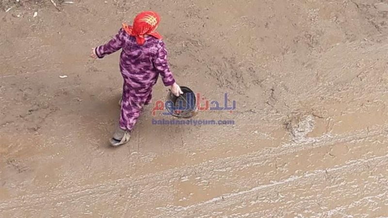 بلدنا اليوم