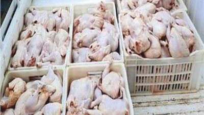 شرطة التموين تضبط 9 أطنان من اللحوم والدواجن المجمدة الفاسدة بالشرقية