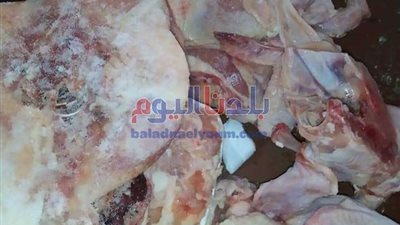شرطة التموين تضبط 9 طن لحوم فاسدة بالشرقية