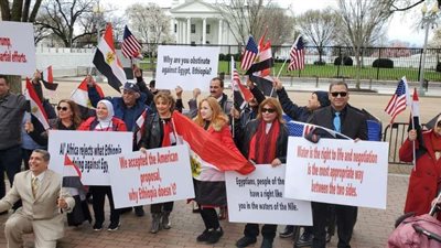 20 ألف من المصريين بالخارج والداخل يشاركون في دعم حق مصر بالتوقيع إلكترونيا