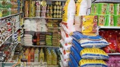 حملات مباحث التموين اسفر عنها ضبط 29 مخالفة تموينية متنوعة بالغربية