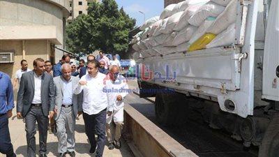 التركاوى: توريد 120 ألف و 700 طن قمح بالصوامع الموزعة بالمنوفية