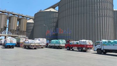 محافظ البحيرة: توريد 311,321 طن قمح لشون وصوامع البحيرة