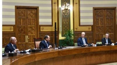 «السيسى »يلتقى ب«الزملوط » لبحث الموقف التنفيذي لمشروعات الوادي الجديد