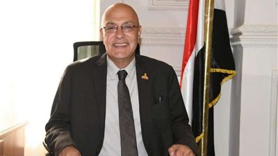 النائب أحمد صبور يؤكد على أهمية بحث الاحتياجات التمويلية للدول الأفريقية لمواجهة التغيرات المناخية