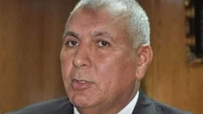 التحفظ على 78 طن قمح في الوادي الجديد وإحالة صاحبها للتحقيق.. لهذا السبب