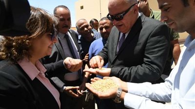 الداودى يتابع توريد القمح بصوامع مدينة قنا