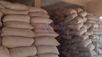 محافظ بني سويف: استلام 190 ألف طناً من القمح محلي بالصوامع بنسبة تزيد عن 82%