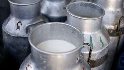 منها منتجات الألبان.. أطعمة يجب التوقف عن تناولها بسبب كورونا 