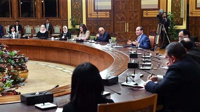 السيسي: تم تشكيل لجنة لإدارة الموقف منذ أزمة كورونا