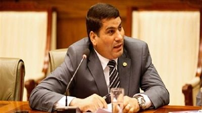 برلماني: الواقع العملي دائمًا يظهر الآثار الخاصة بأي قانون